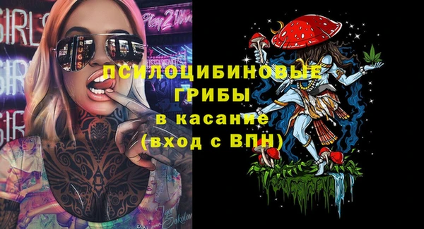 каннабис Новозыбков