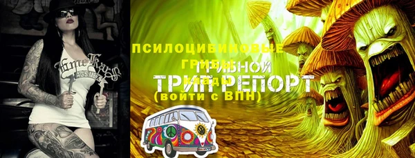 соль ск Новокубанск
