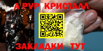 ECSTASY Камышлов