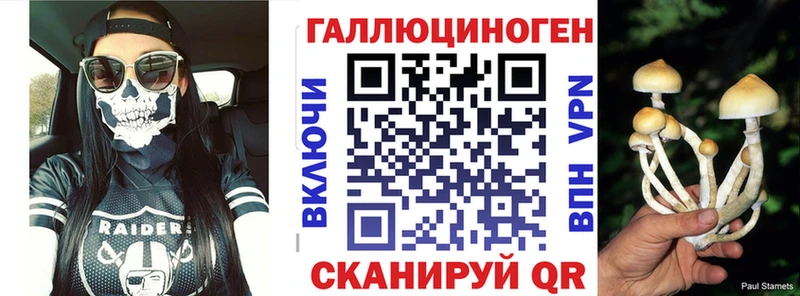 Галлюциногенные грибы Psilocybine cubensis  где продают   Краснокамск 