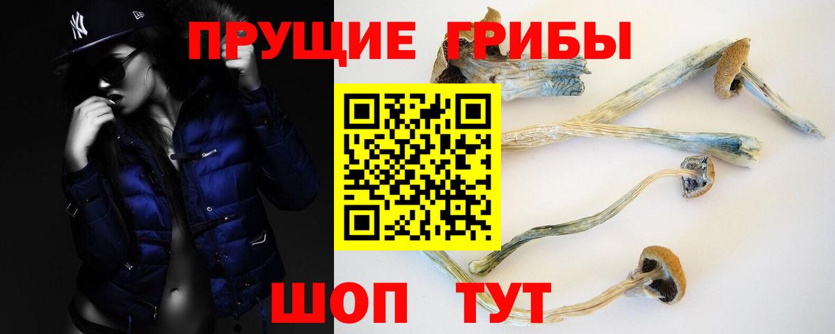 Галлюциногенные грибы Cubensis Краснокамск
